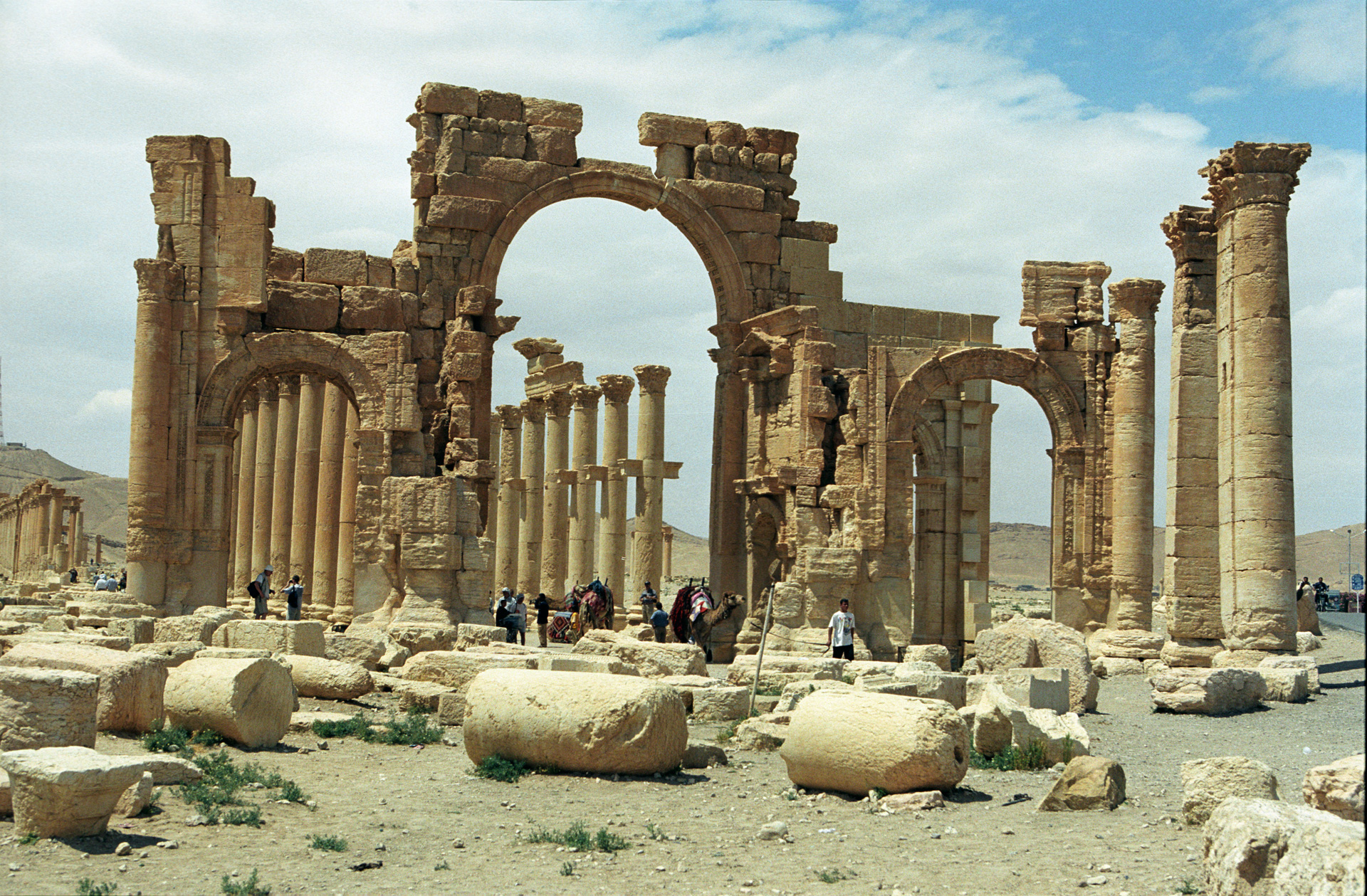 a3.Palmyra