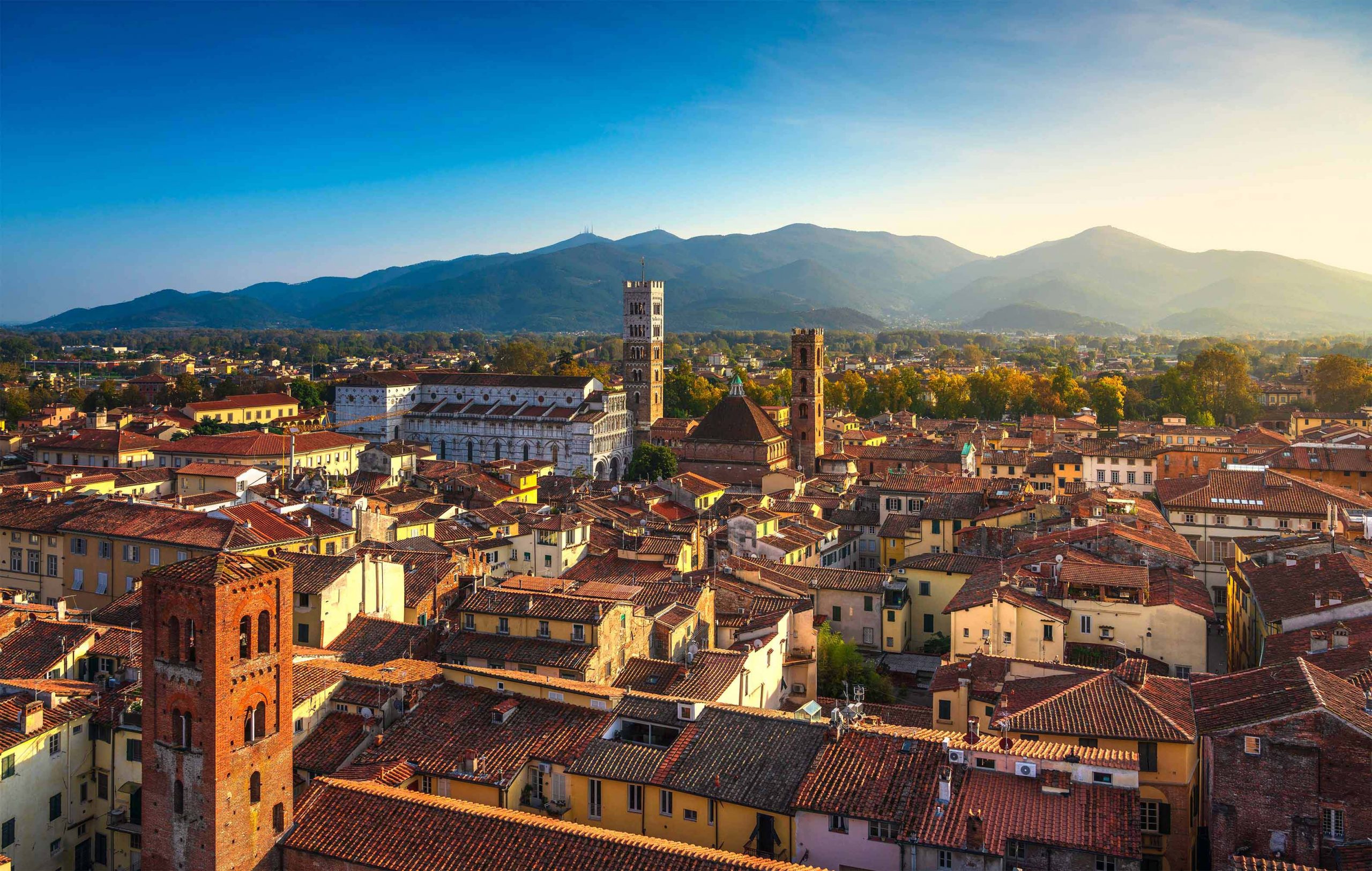 Lucca_III